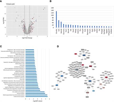 Host M-CSF induced gene expression drives changes in susceptible and resistant mice-derived BMdMs upon Leishmania major infection